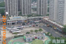 河畔花园 D座