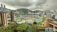 禮頓山 1座 中層 A室 跑馬地/東半山