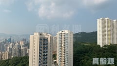 嘉雲臺 4座 極高層 B室 跑馬地/東半山