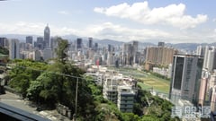 松柏新邨 C座 中層 跑馬地/東半山