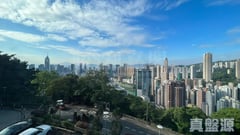 松柏新邨 D座 低層 跑馬地/東半山