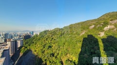 上林 1座 高层 B室 跑马地/东半山