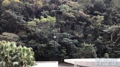 名門 3座 低層 B室 跑馬地/東半山