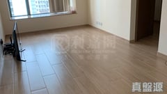 柏景灣 1期 9座 低層 H室 奧運站/南昌
