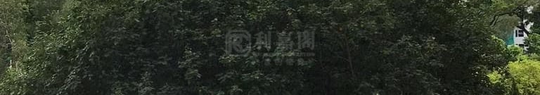 又一居 13座 中层 何文田/京士柏/九龙塘/又一村
