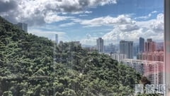 華信花園 極高層 D室 康怡/鰂魚涌/太古城