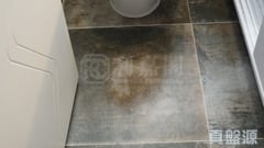 南豐新邨 5座 高層 F室 康怡/鰂魚涌/太古城