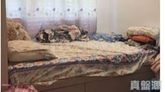東蘭閣 A座 高層 B2室 西九龍