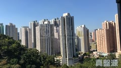 乐雅苑 雅逸阁 (A座) 中层 4室 九龙湾/牛池湾/钻石山/黄大仙