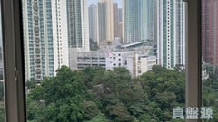 鯉安苑 鯉欣閣 (C座) 05室 觀塘/藍田/油塘