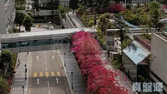 麗港城 1期 14座 中層 B室 觀塘/藍田/油塘