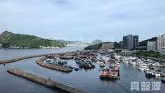 嘉亨灣 6座 低層 D室 西灣河/筲箕灣