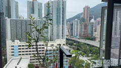 鯉景灣 D段 安澤閣 (15座) 極高層 A室 西灣河/筲箕灣