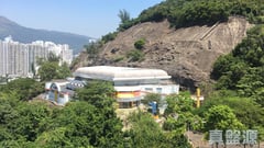 悦丽苑 丽虹阁 (D座) 低层 8室 美孚/华景