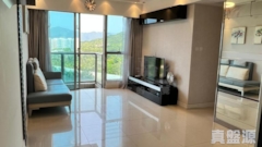 LAKE SILVER Tower 8 Low Floor Zone Flat B Ma On Shan