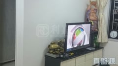 錦龍苑 龍欣閣 (B座) 中層 10室 馬鞍山