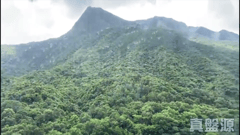 翠擁華庭 15座 高層 B室 馬鞍山