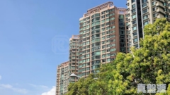 VISTA PARADISO Phase 2 - Tower 4 High Floor Zone Flat D Ma On Shan