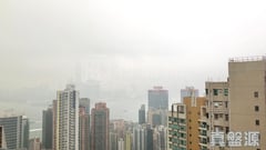 豫苑 2座 極高層 D室 西半山