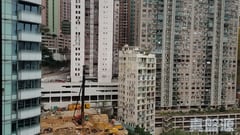 御林豪庭 极高层 A室 中上环/西区