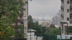 慧苑 D座 低層 西半山