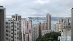 學士臺 1座 高層 D室 西半山