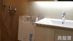 學士臺 1座 低層 G室 西半山