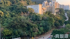 學士臺 2座 高層 B室 西半山