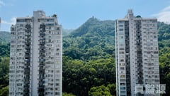 聚龍居 11座 高層 B室 大圍