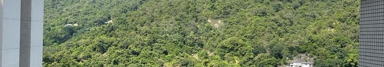 駿景園 1期 1座 高層 B室 沙田/火炭/九肚山
