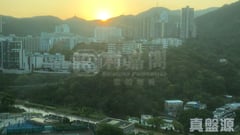駿景園 1期 3座 中層 A室 沙田/火炭/九肚山