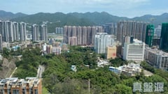 晉名峰 C座 極高層 A室 沙田/火炭/九肚山