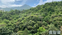 壹號雲頂 1期 6座 高層 D室 沙田/火炭/九肚山