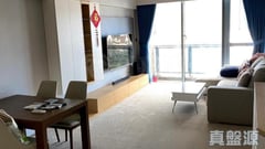 御龍山 11座 極高層 B室 沙田/火炭/九肚山