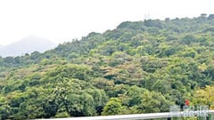 壹號雲頂 1期 5座 極高層 D室 沙田/火炭/九肚山