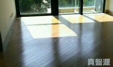壹號雲頂 2期 雲頂峰 雲頂峰 高層 10室 沙田/火炭/九肚山