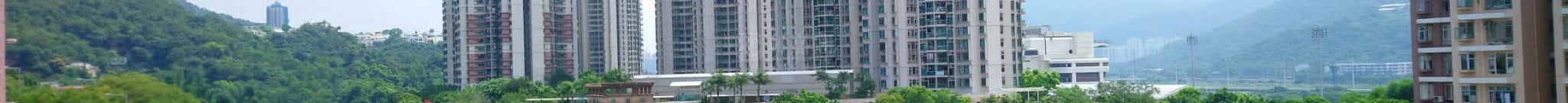 FICUS GARDEN Flat B Sha Tin/Fo Tan/Kau To Shan