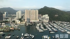 南灣 10座 極高層 B室 鴨脷洲