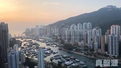深湾轩 3座 高层 D室 鸭脷洲