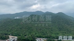 碧濤花園 1期 雅碧閣 (1座) 極高層 E室 沙田/火炭/九肚山