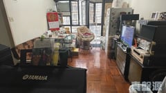 沙田广场 华星阁 (C座) 高层 1室 沙田/火炭/九肚山