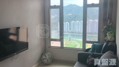 銀禧花園 5座 極高層 F室 沙田/火炭/九肚山