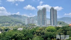 新城市廣場 3期 紫藤閣 (2座) 中層 D室 沙田/火炭/九肚山