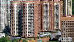 新城市廣場 3期 銀樺閣 (4座) 中層 B室 沙田/火炭/九肚山