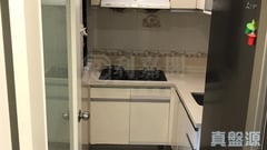 新城市广场 3期 银桦阁 (4座) 低层 D室 沙田/火炭/九肚山