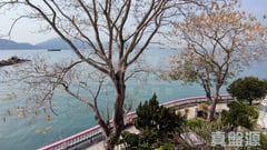 PEARL ISLAND VILLA Block F2 High Floor Zone Sham Tseng/Castle Peak Road
