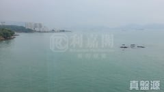 龍珠島別墅 東座 深井/青山公路