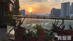 映灣園 2期 映濤軒 8座 低層 B室 東涌