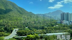 藍天海岸 1期 1座 低層 E室 東涌