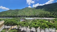 映灣園 2期 映濤軒 7座 低層 C室 東涌